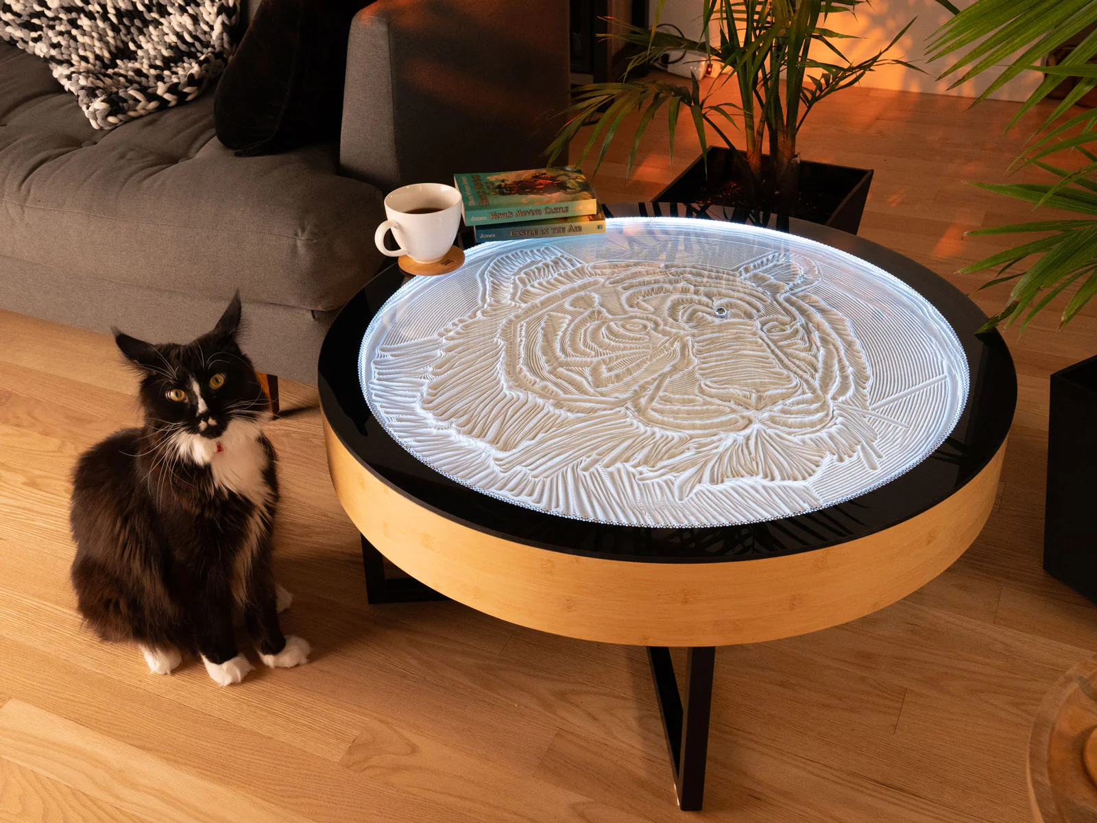 Oasis Coffee Table Pre-Order (April 2026 Shipping) - Image 3